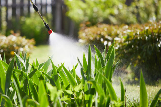 24/7 Emergency Mosquito Control experts in North Vernon, IN