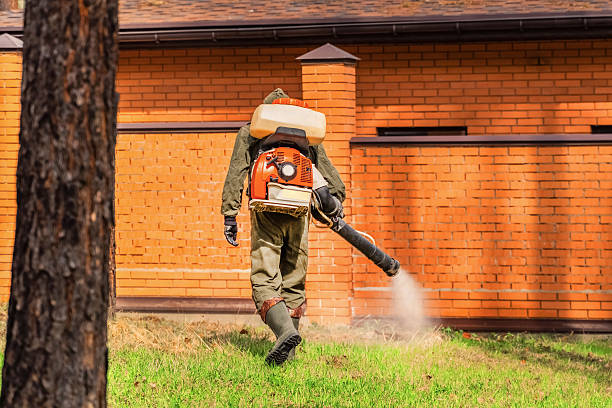 Top rated local Mosquito Control specialists in North Vernon, IN